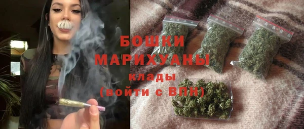 прущие грибы Ессентукская